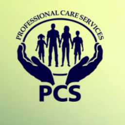 Professional Care Services 
