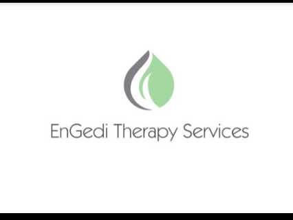 Engedi Therapy Services PLLC