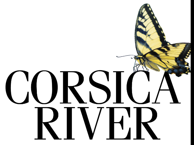 Corsica River Mental Health Services