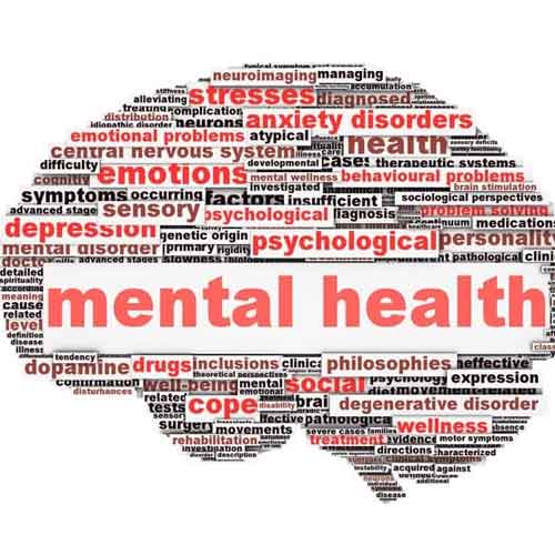 Community Mental Health Services